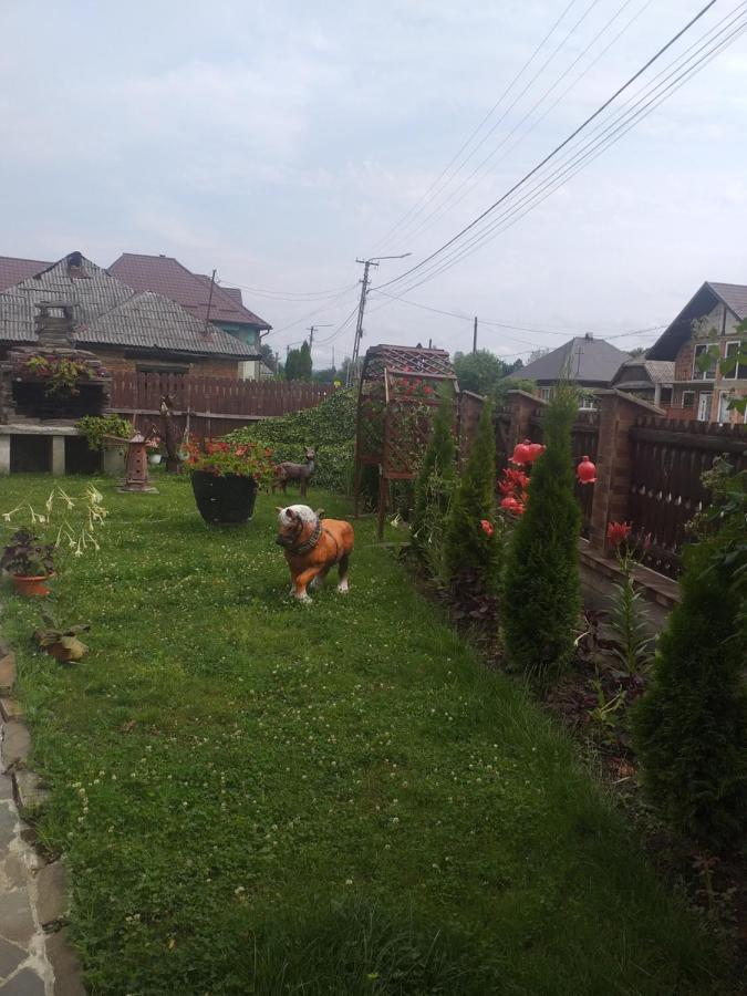 Pensiunea Rednic Lenuta Giulesti Экстерьер фото